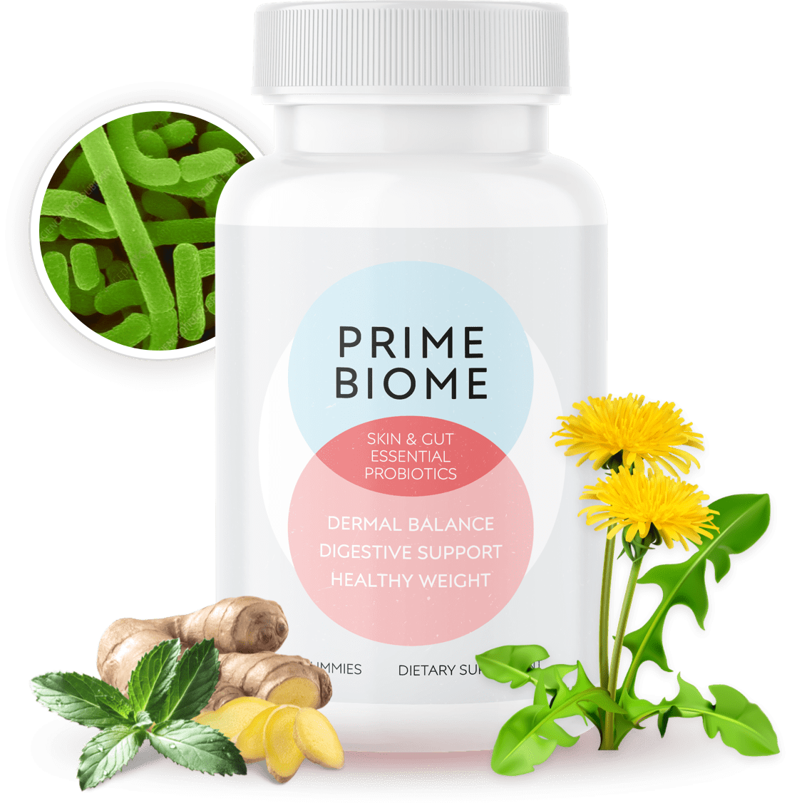 PrimeBiome 1 bottle with probiotics and ingredients